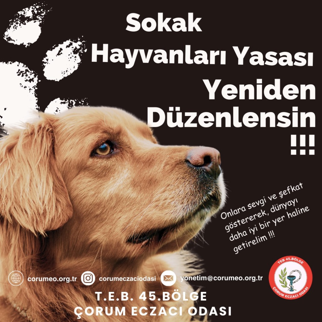 Sokak Hayvanlari Afi̇ş