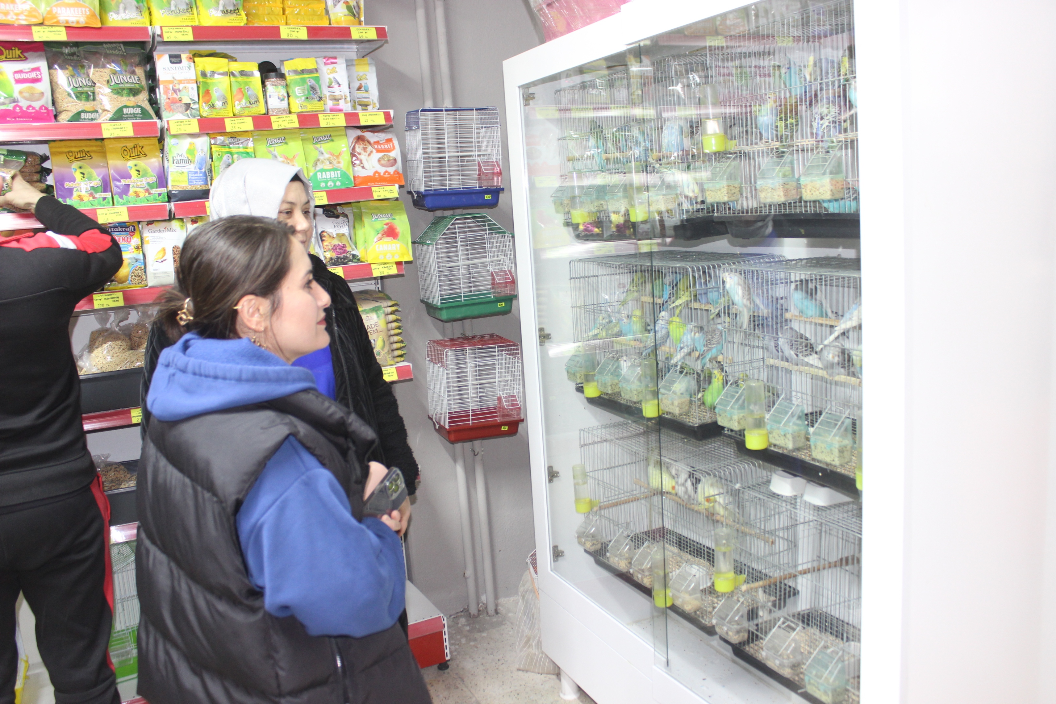 Ecem Pet Shop 6