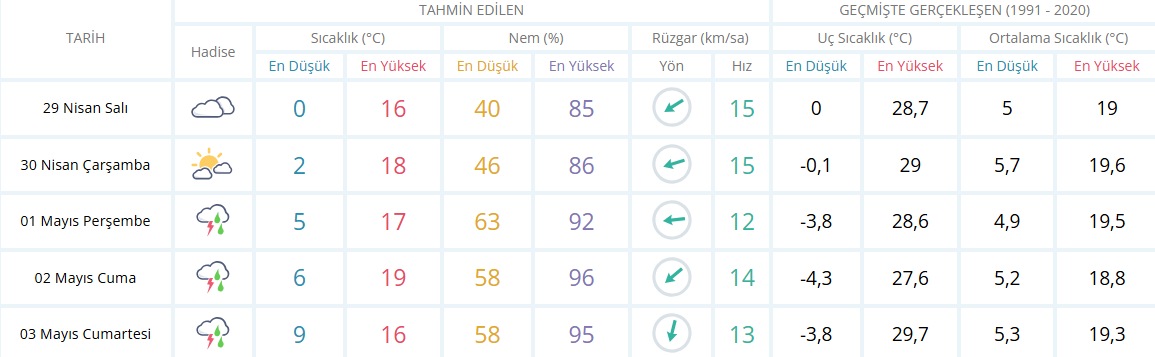 Catshava41