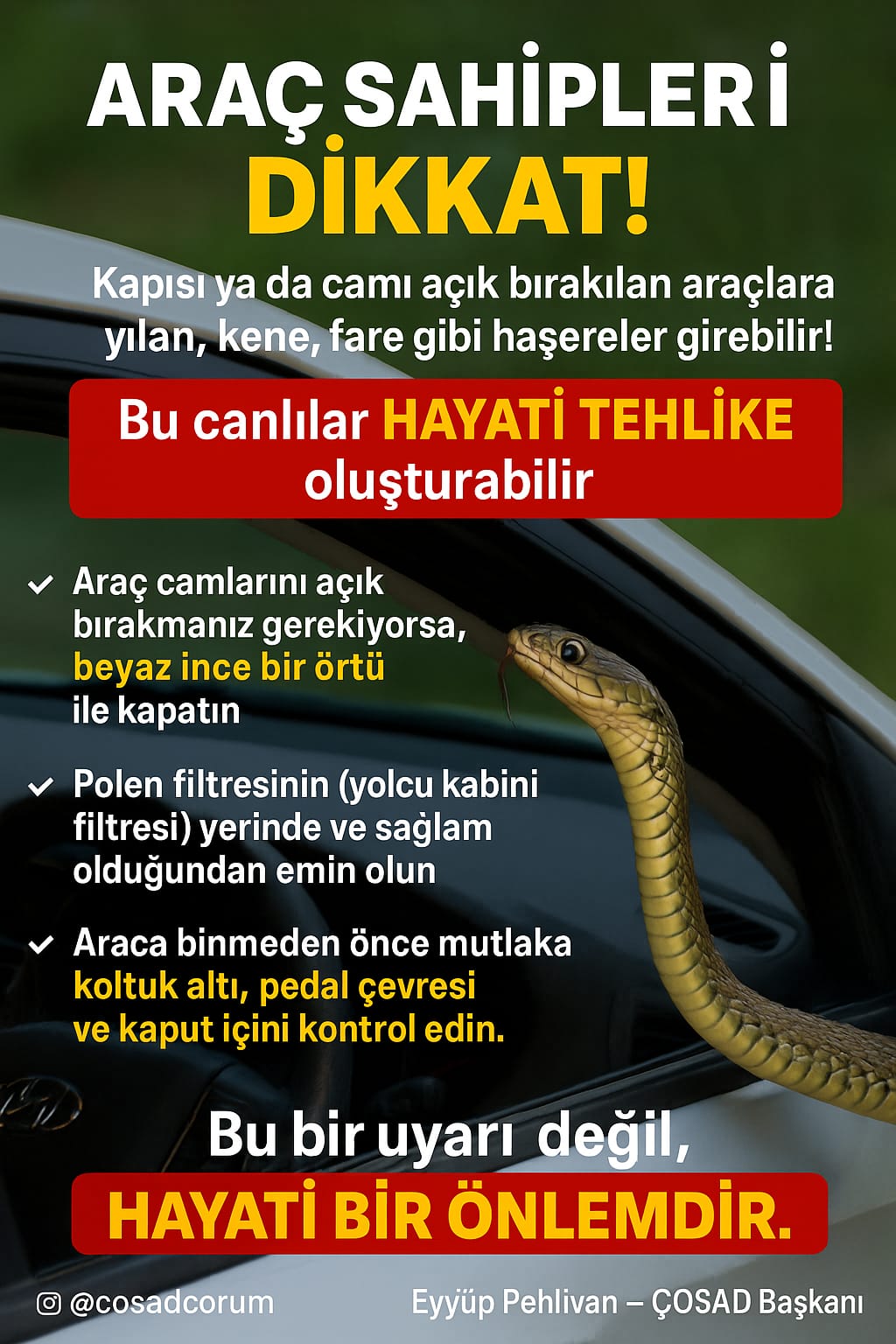 20Bed6B7 Ef84 470A 8A88 25E05Dbb447A