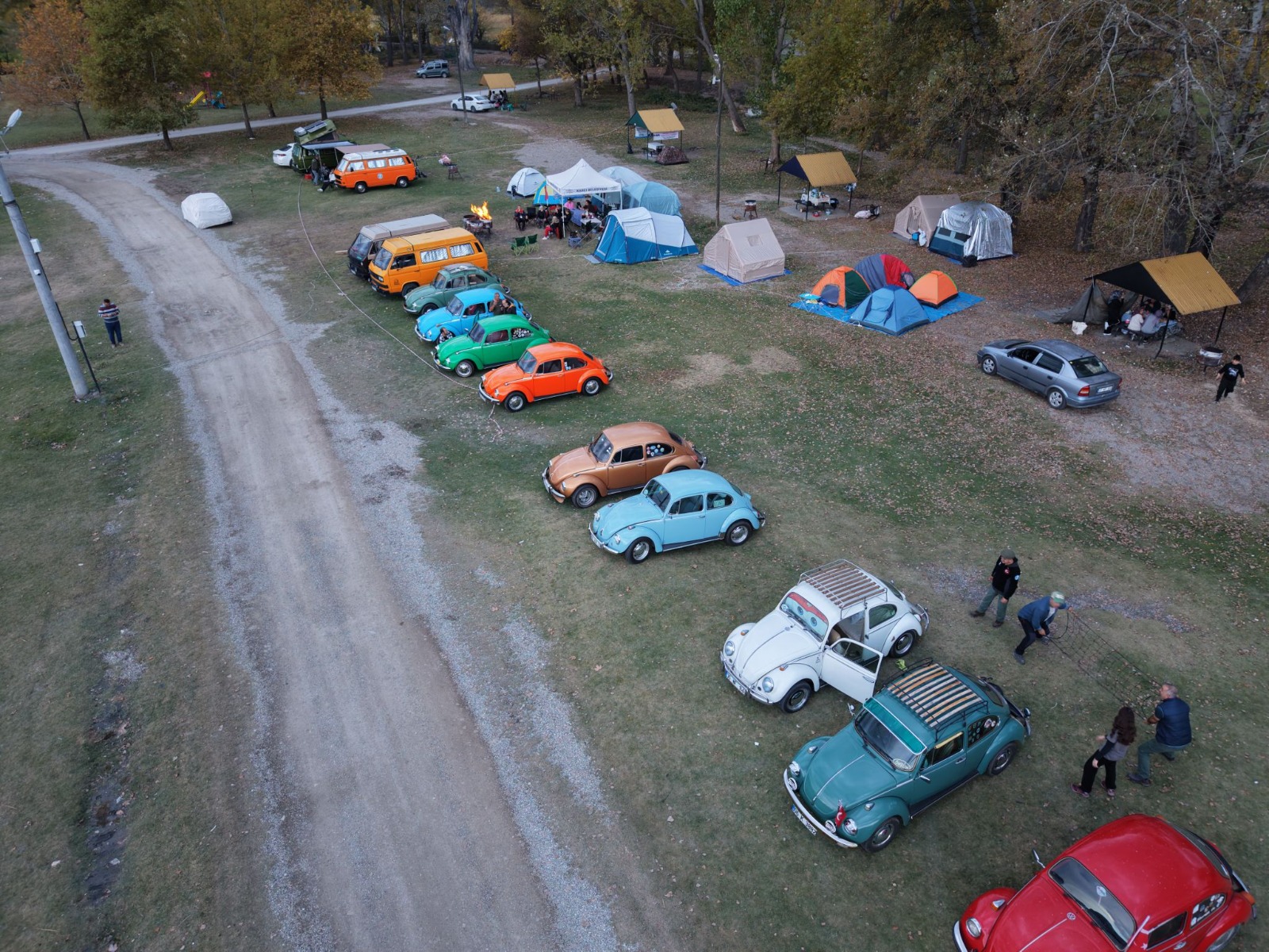 216405Ea 9B7D 4499 9296 70F47Bd6Cfe3