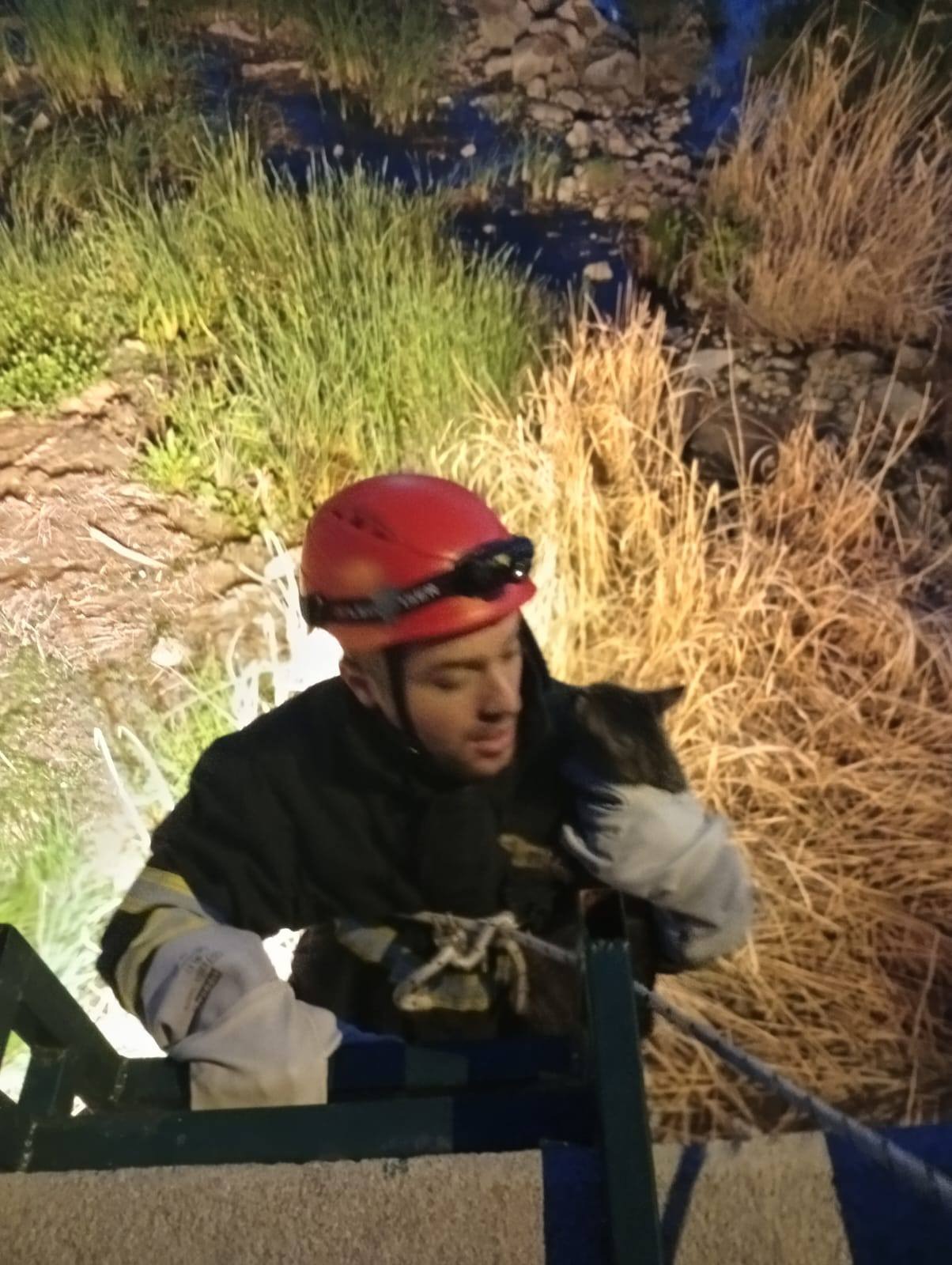 7Fbef16F 717E 4221 88Fb F2B401D6B187