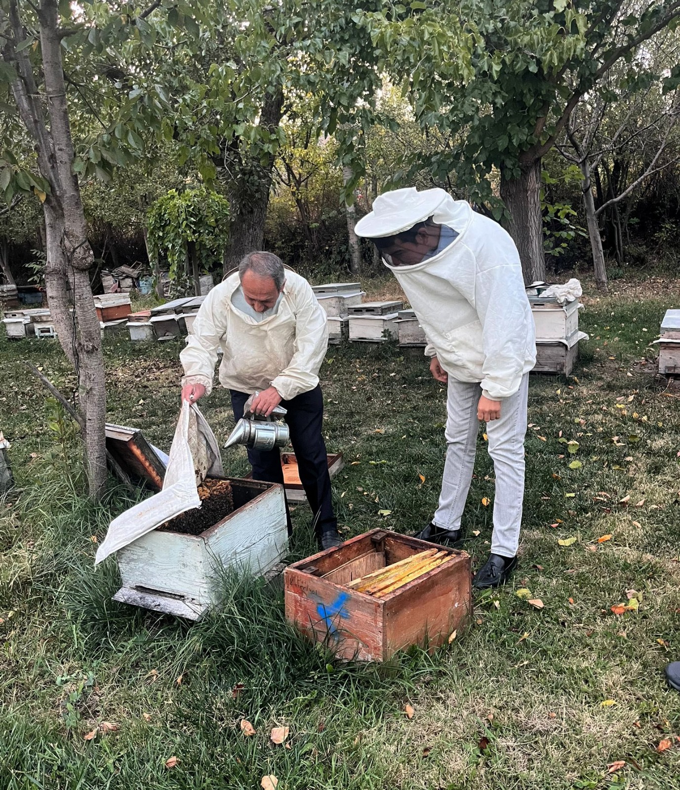 D1Fd1B1E 77Dd 4421 Ab7F 06003Fa324A4