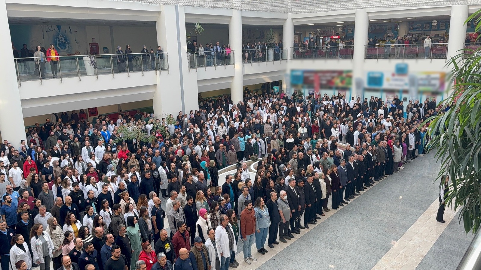 059C6F5B 4B4D 44B6 Ba09 E1324772E6B8