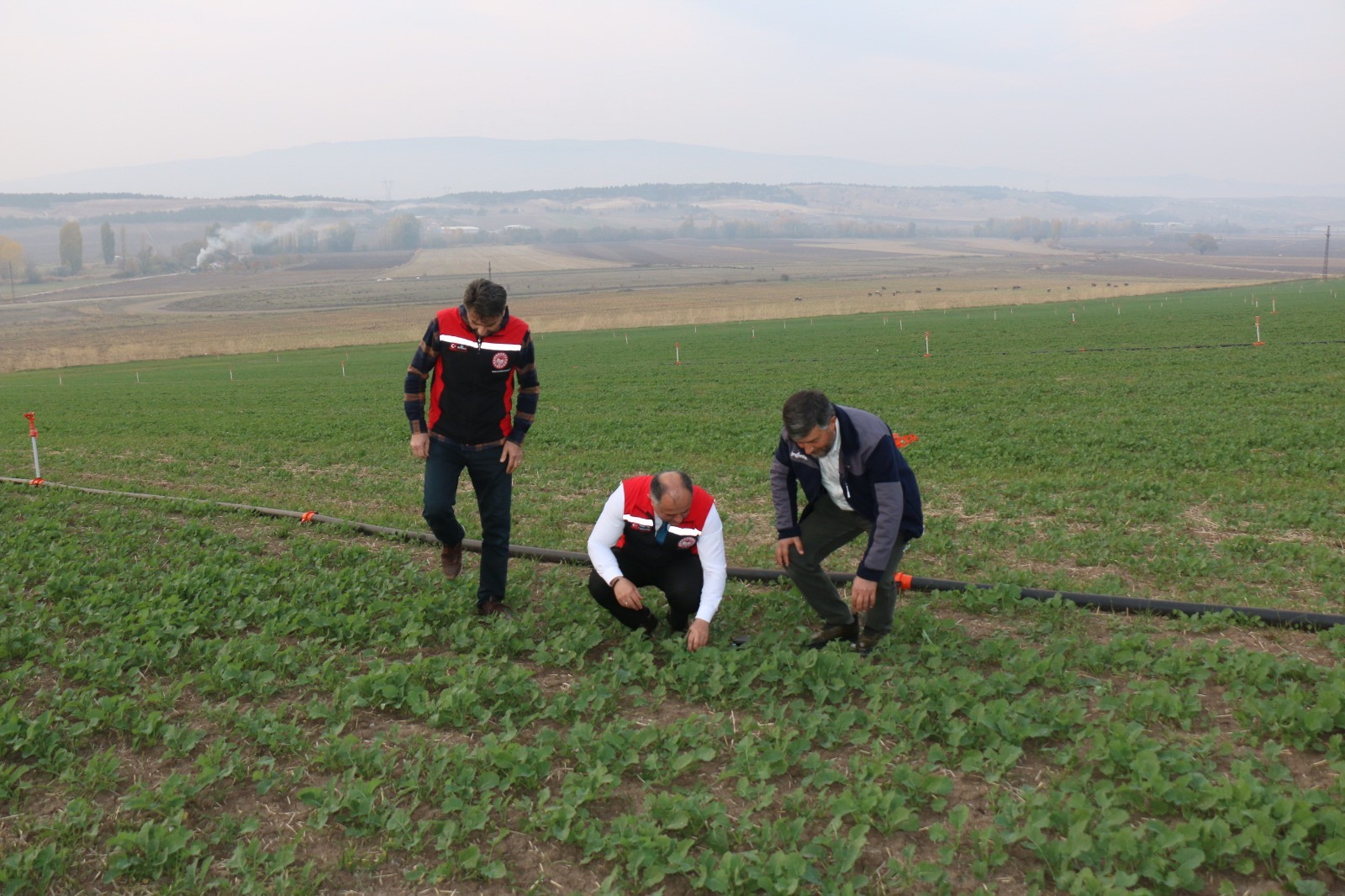 149E104B B61D 4C2B 8629 95B9Cbcaca76