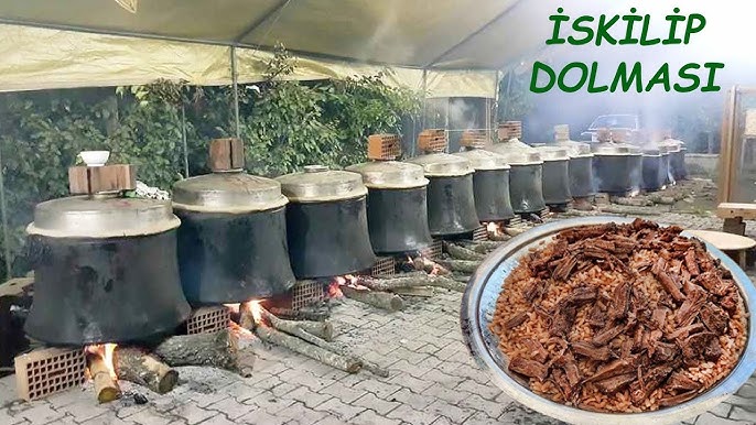 1Bc82B32 3448 44Bc Bf4C 8174De9F6199