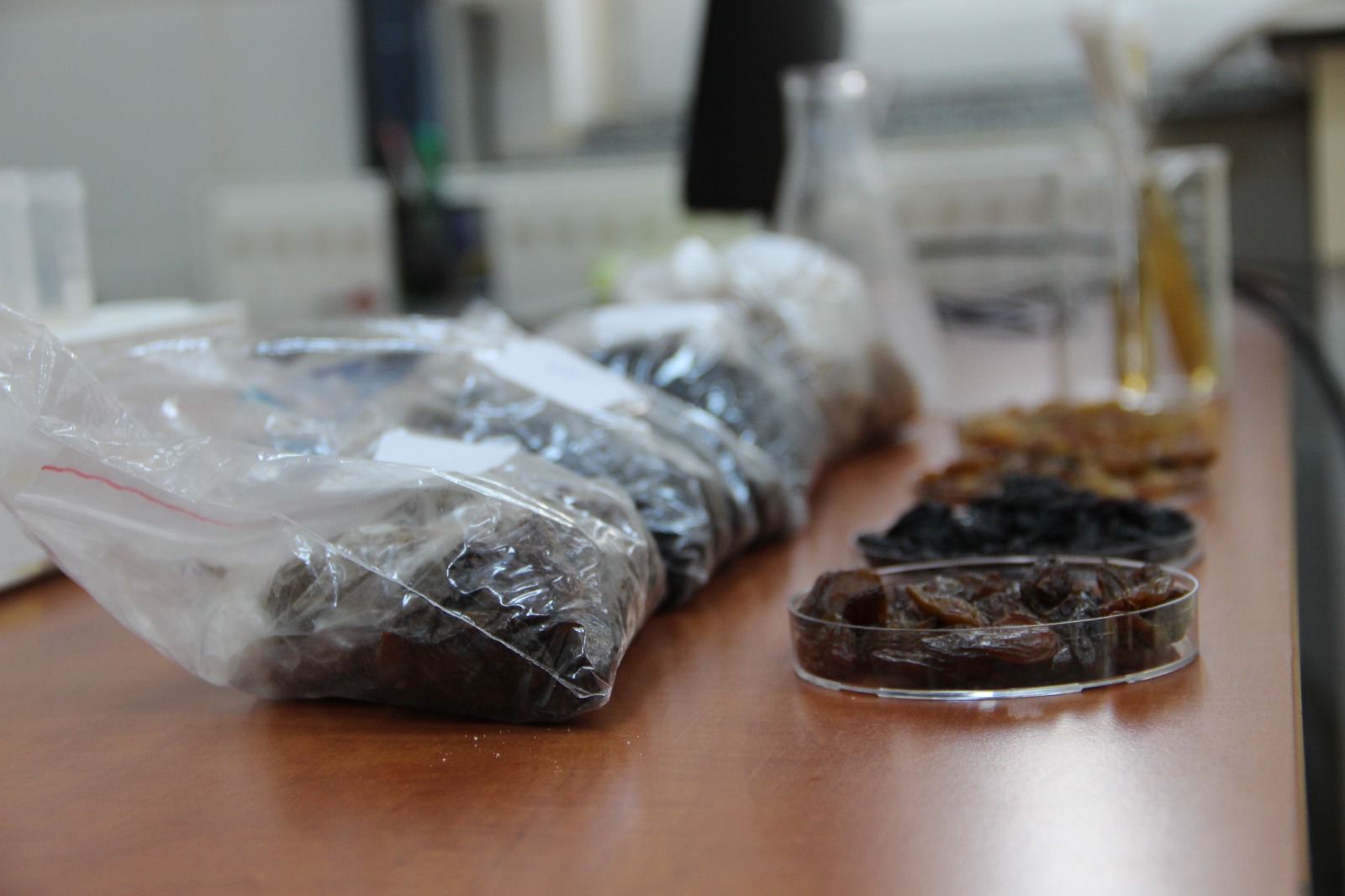 3Eb39E86 168A 4B77 A17D 002422A124B2