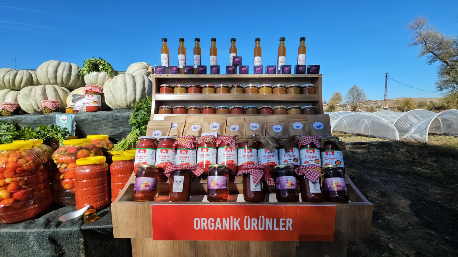 5Dd66D2E B47C 4C9D 9040 982Aa8669C39