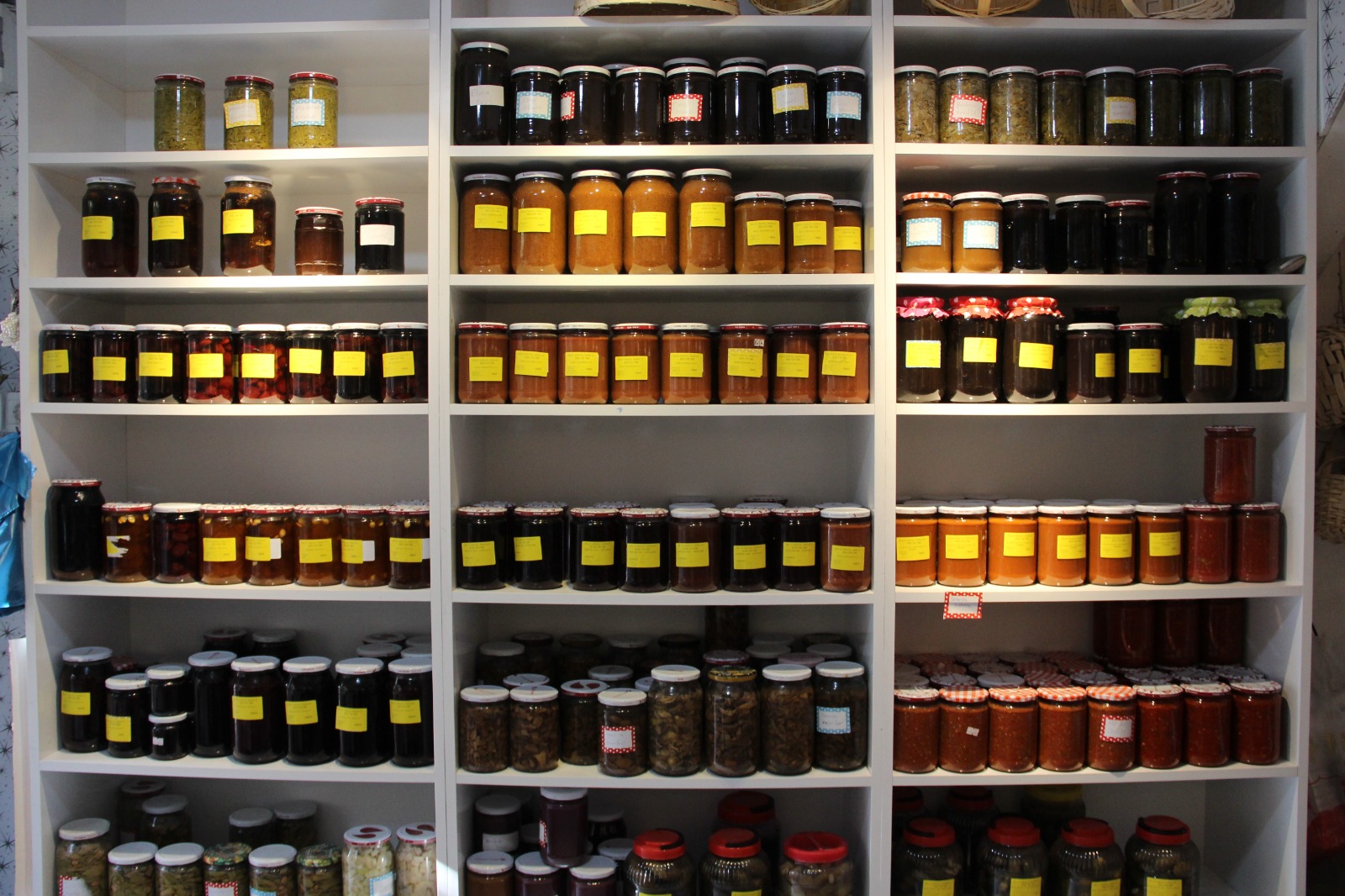 64Ed8314 2079 47Bc 9114 6Ed93227Ece0