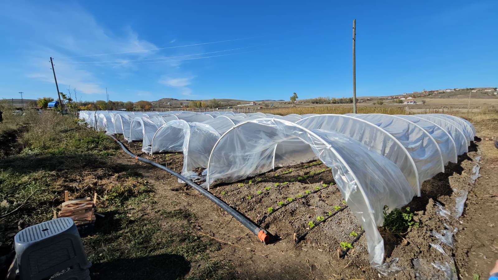 66Bd4C4B 2112 4600 8Fa7 C9Ff5Fbd1De0