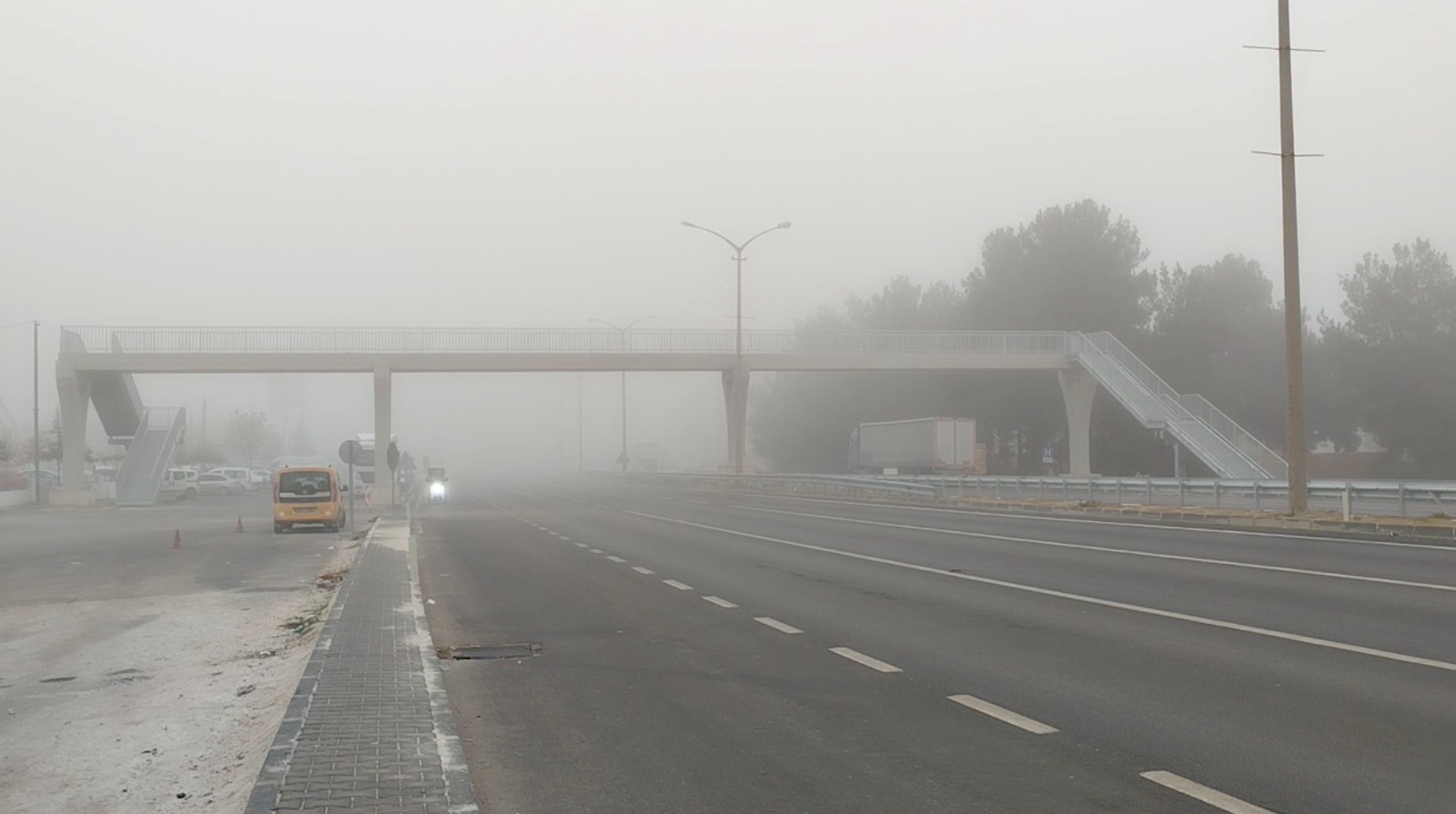 75F81931 3Ad5 4B41 9F71 7B5Cce7Dd27C