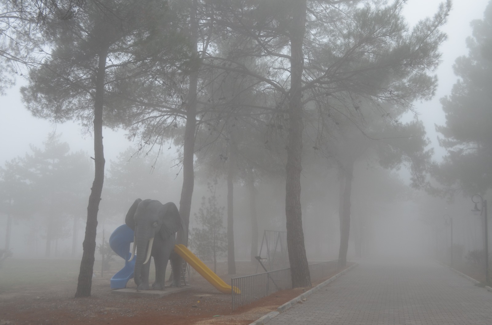 7Fbf738D 7F0A 4Dd5 A12D D32Dd5163Bfc