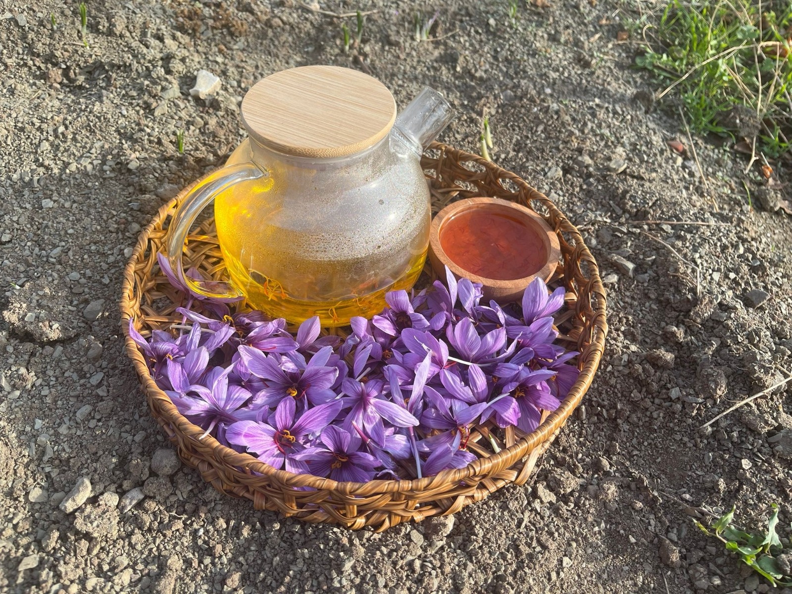 965Df88C 6713 4310 Bad0 886D61Ed7Fb1