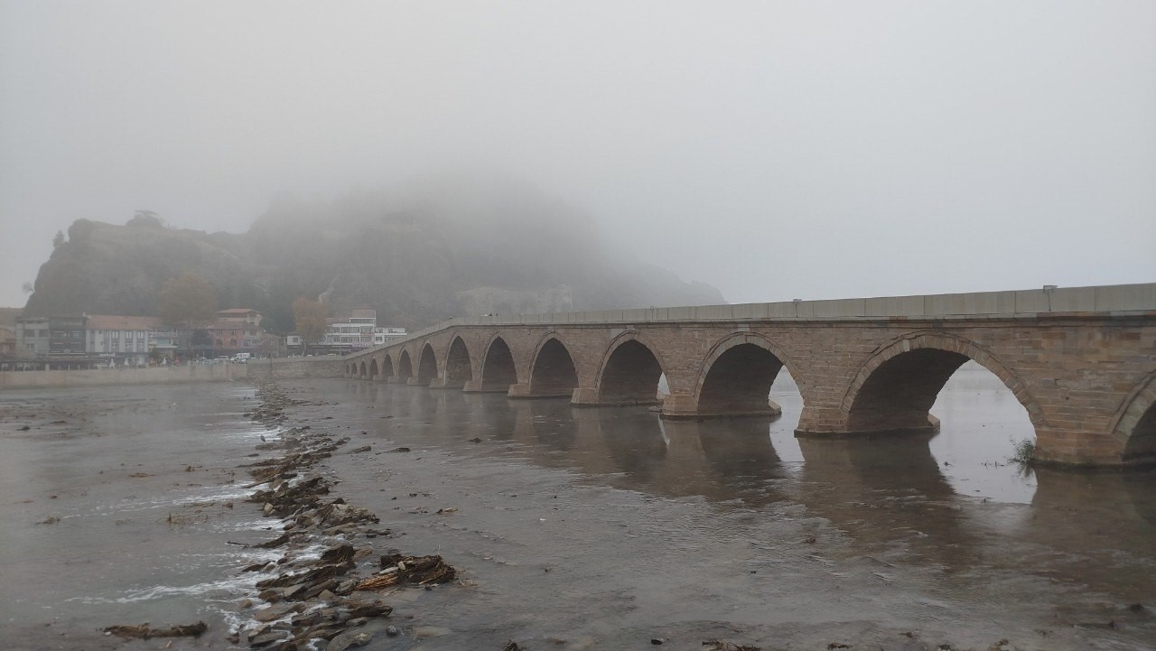 A5C7F2E1 341B 48A1 Aef9 D9490Ad89C63