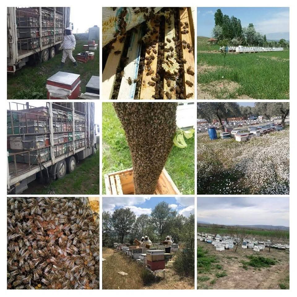 Df5537Fc 030E 4D40 A4F9 Eba5A901517F