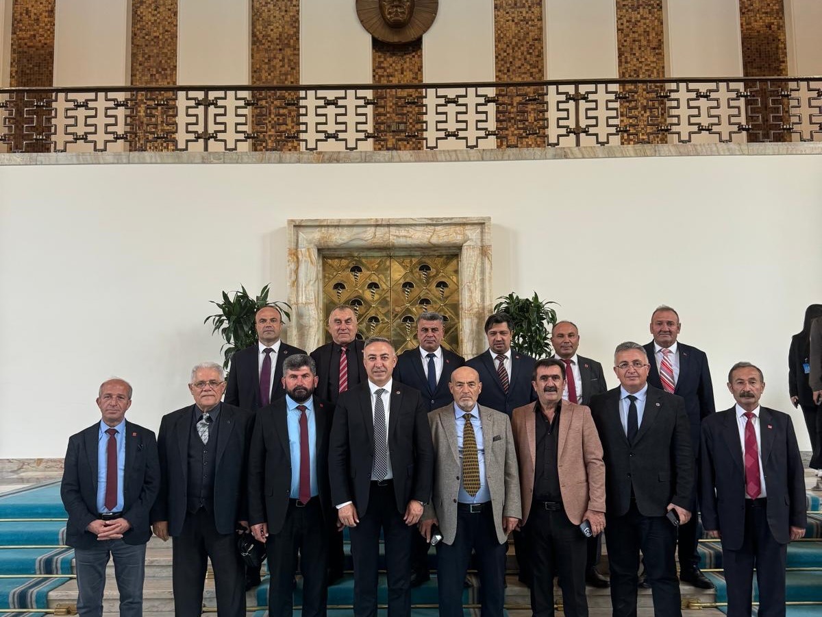 E3Ab5286 7333 446F 9547 4Be18944Da2A