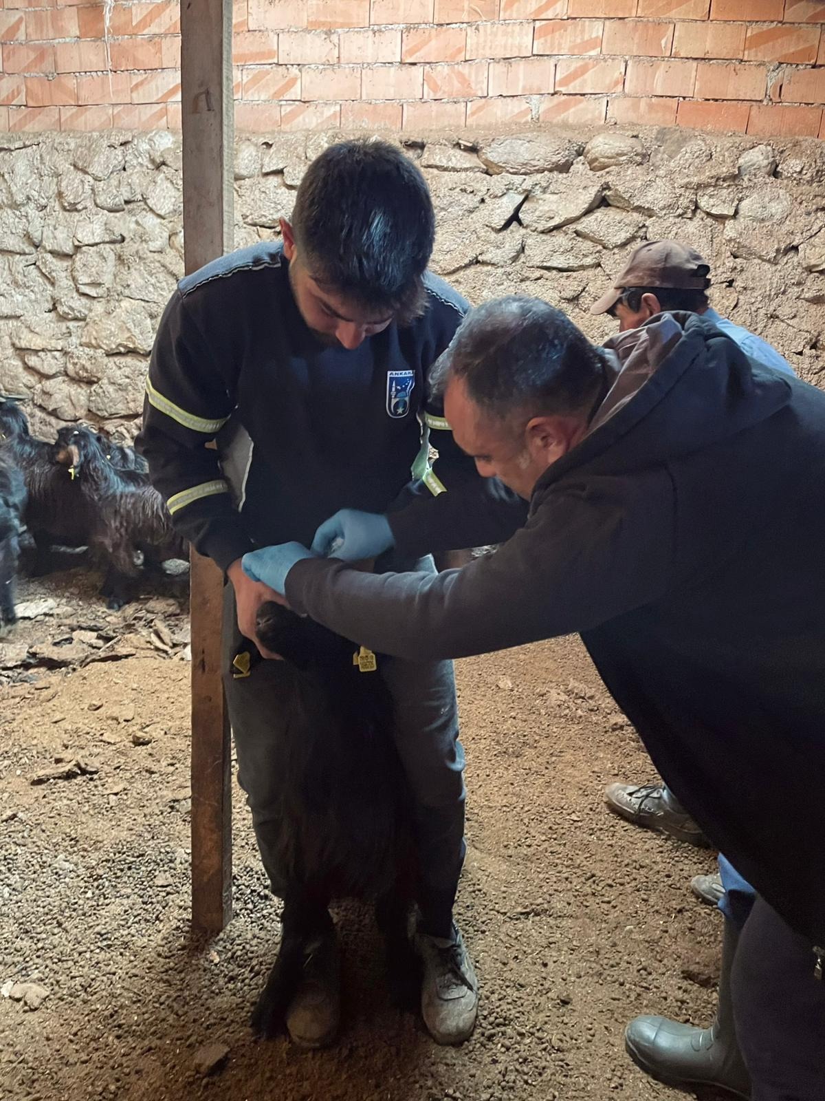 Fc170Dc5 4505 4347 Ae66 5477C02A1081