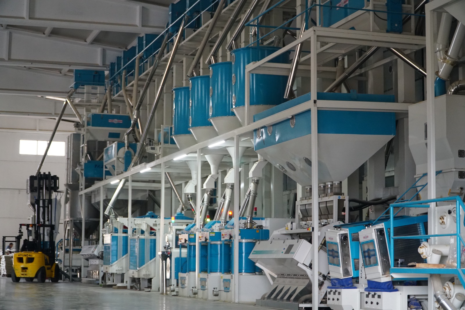 Ff998F41 D247 479C 8955 Bed6Ff0Ba352