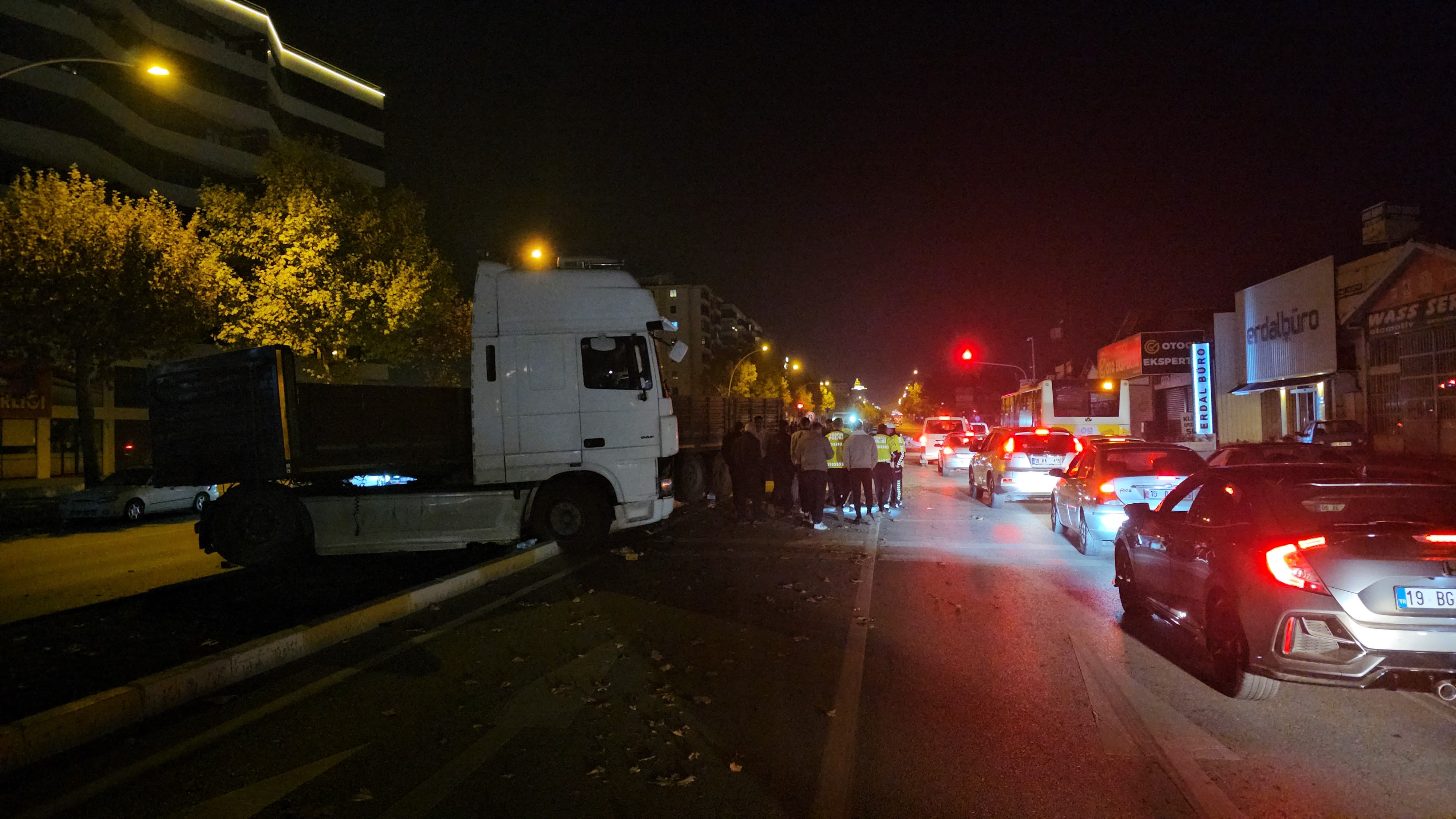 I M G 20251119 W A0033