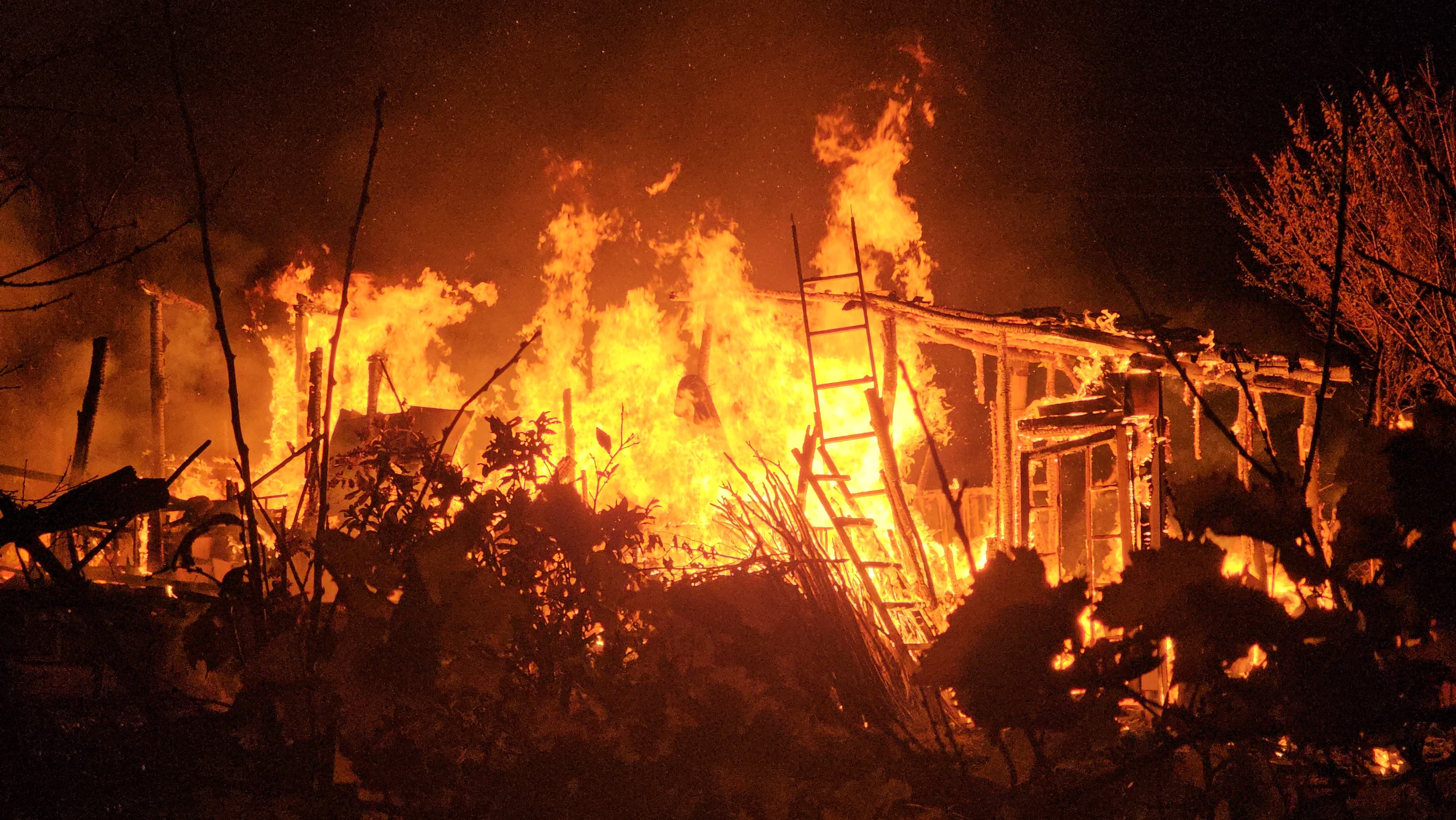 I M G 20251124 W A0025