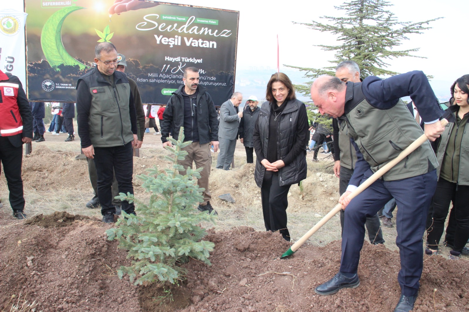 Whatsapp Image 2025 11 11 At 16.54.50