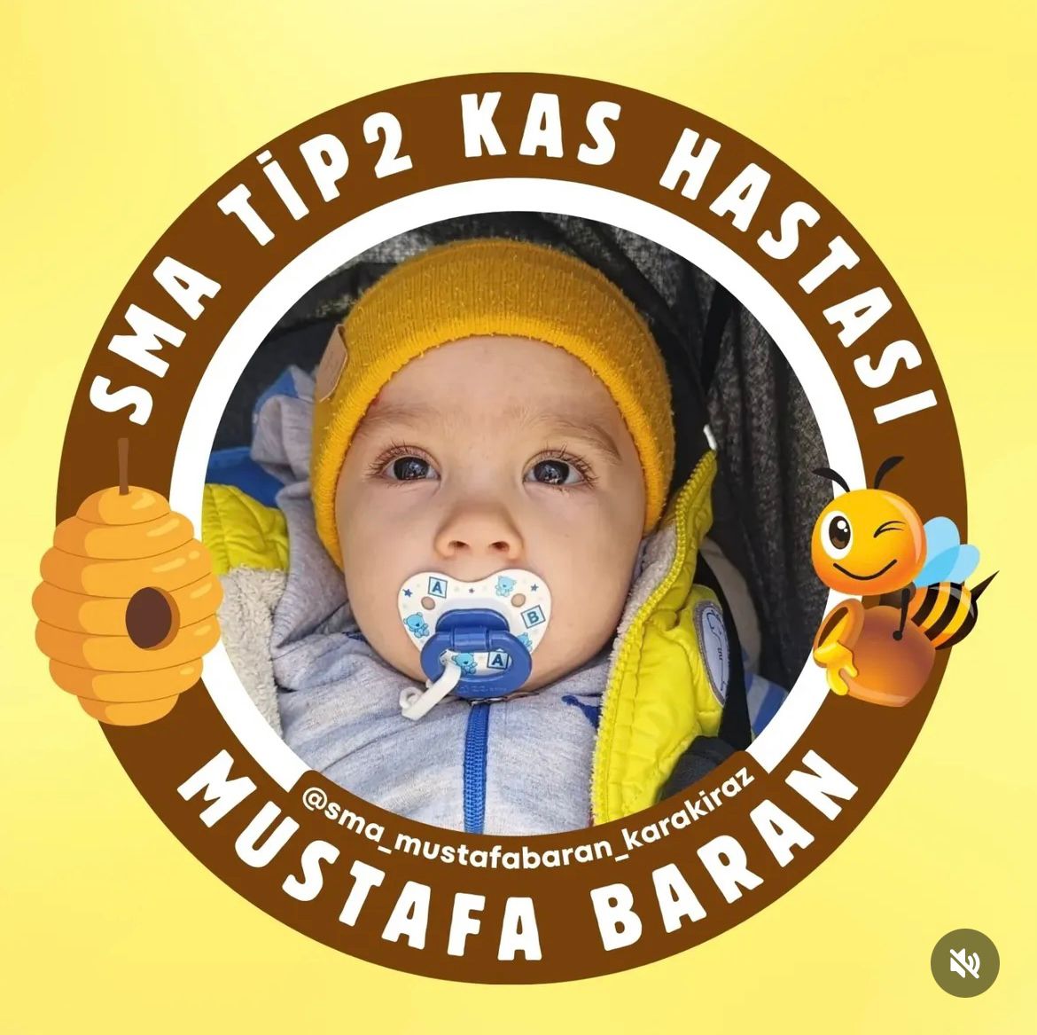 Whatsapp Image 2025 11 12 At 10.44.00 (1)