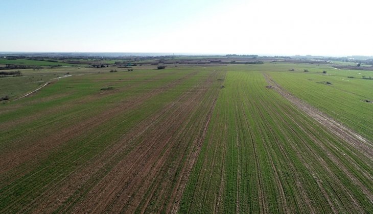 Alaca'da kadastro güncelleme çalışması