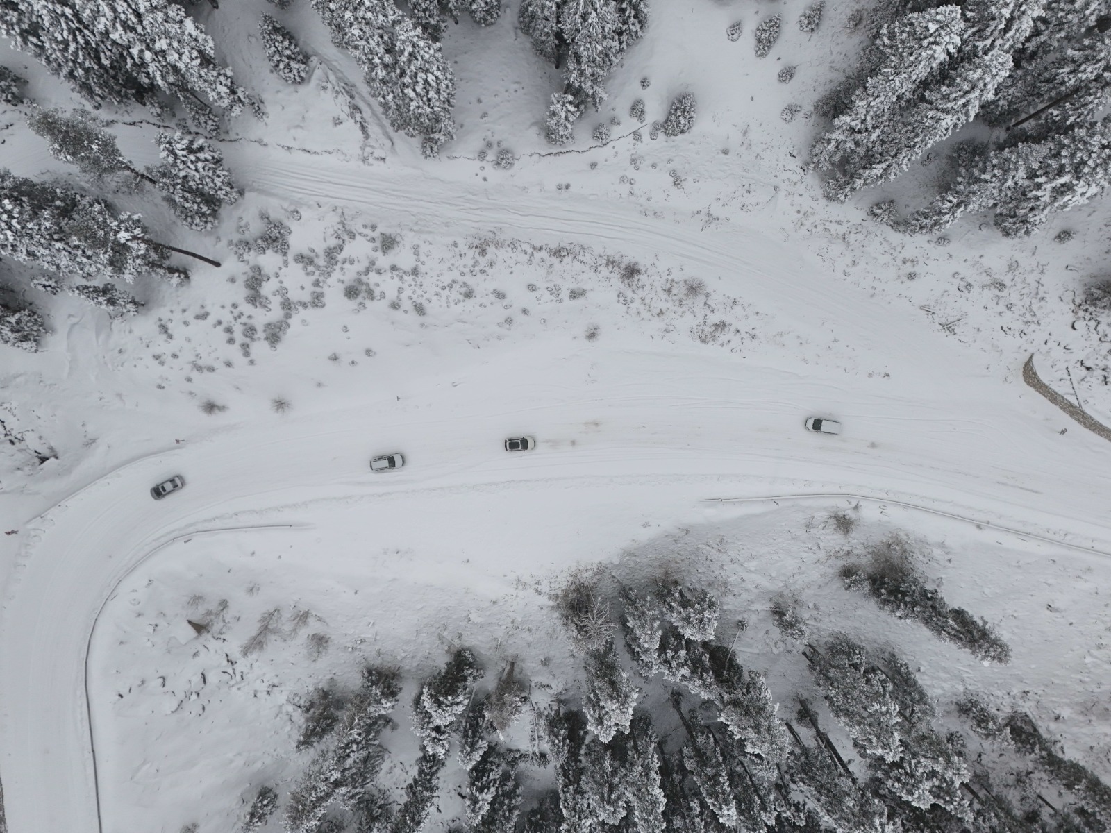 04B0Bfd1 9Bbf 4481 Aad4 F91537Ea0D93