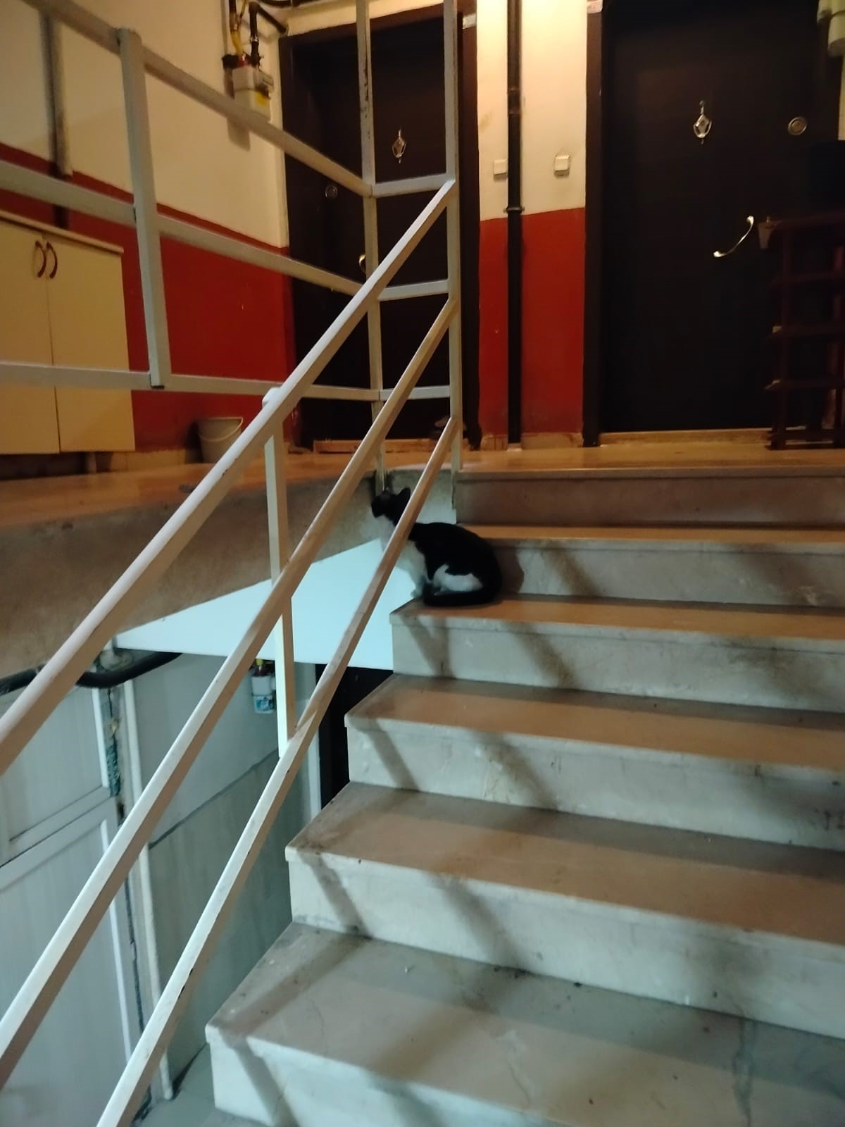 0A5B472C 199C 410F B920 0185C4871F98