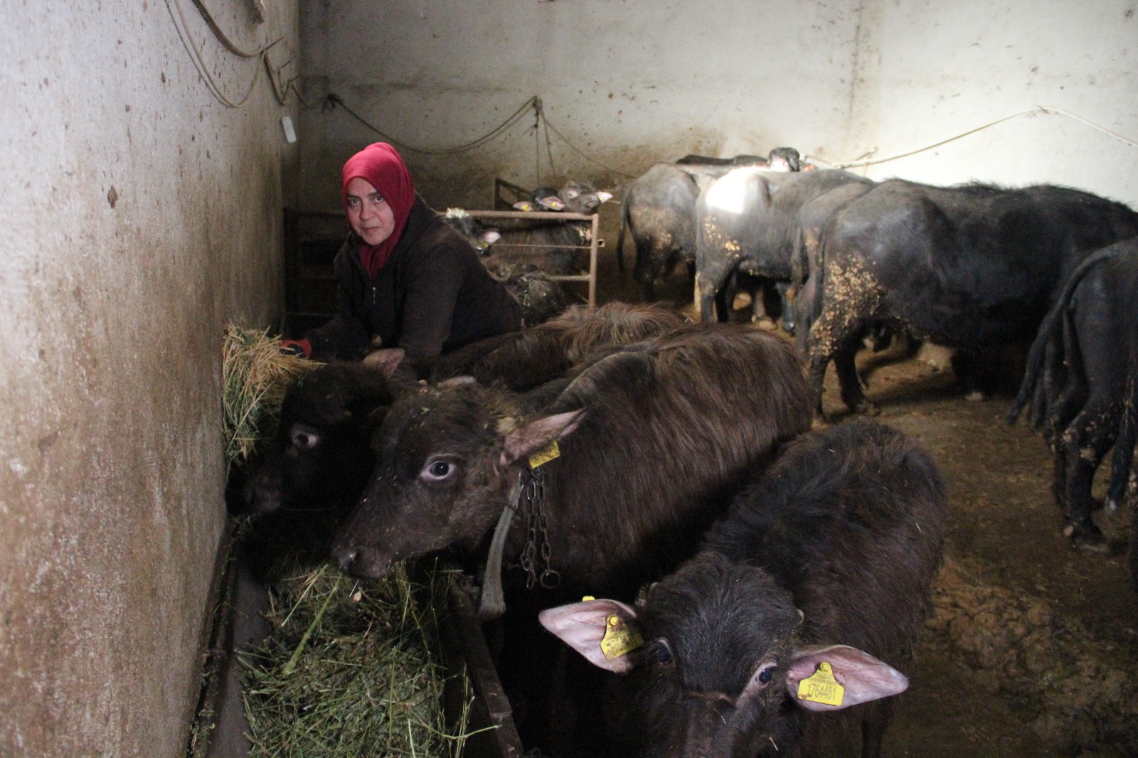 13A1E0D4 F6B7 4Dda A0F0 59C385Fab6Ec