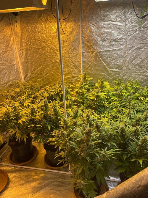 416F8522 29C3 4A07 Afab 7D19B76Bdf40