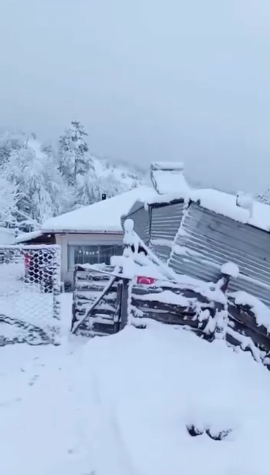 44Dabda5 6792 4605 B697 Fa5Ca2A537B7