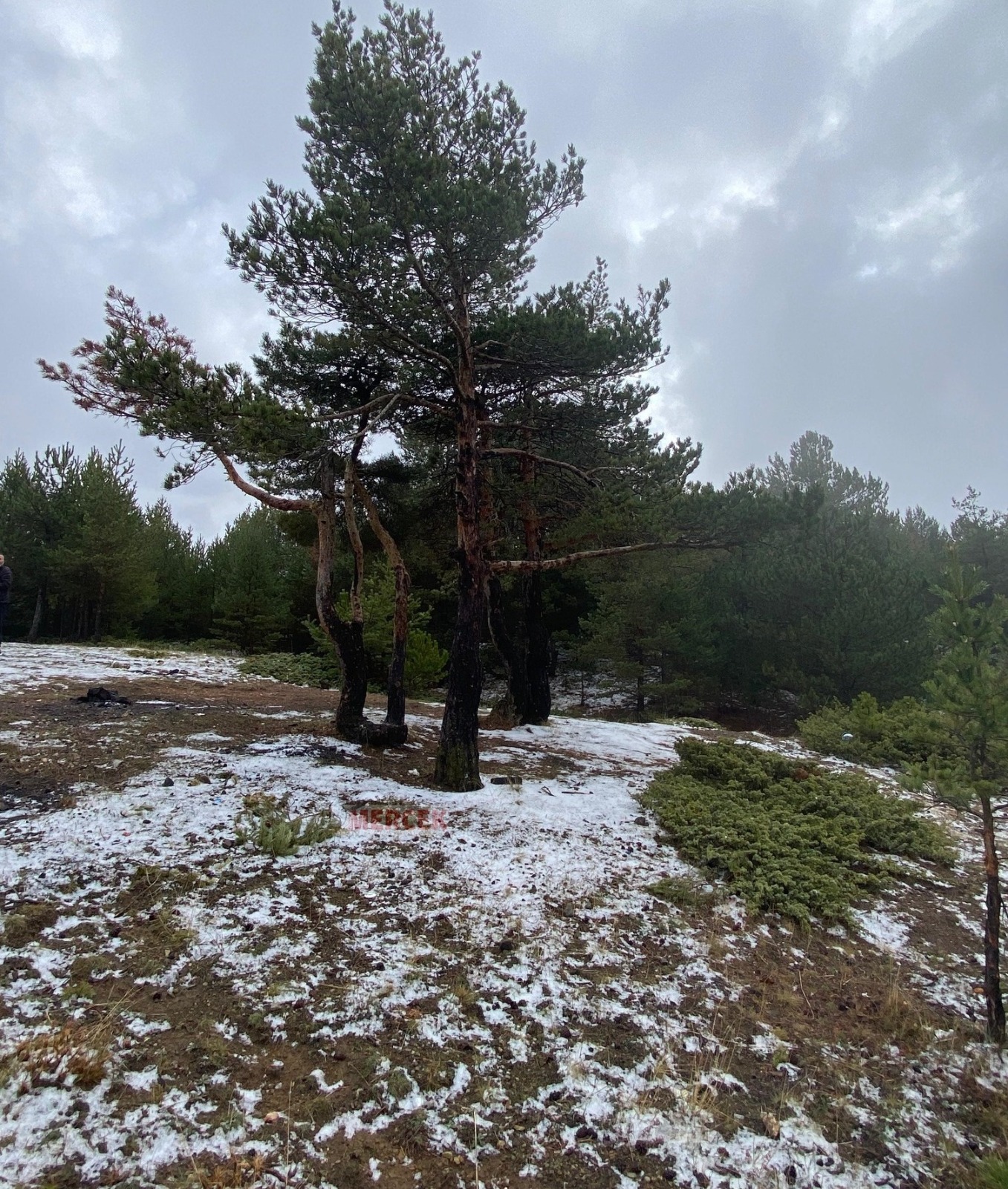 45E5B8A6 38Cf 42A9 83Fc A81Ea14Dbeef