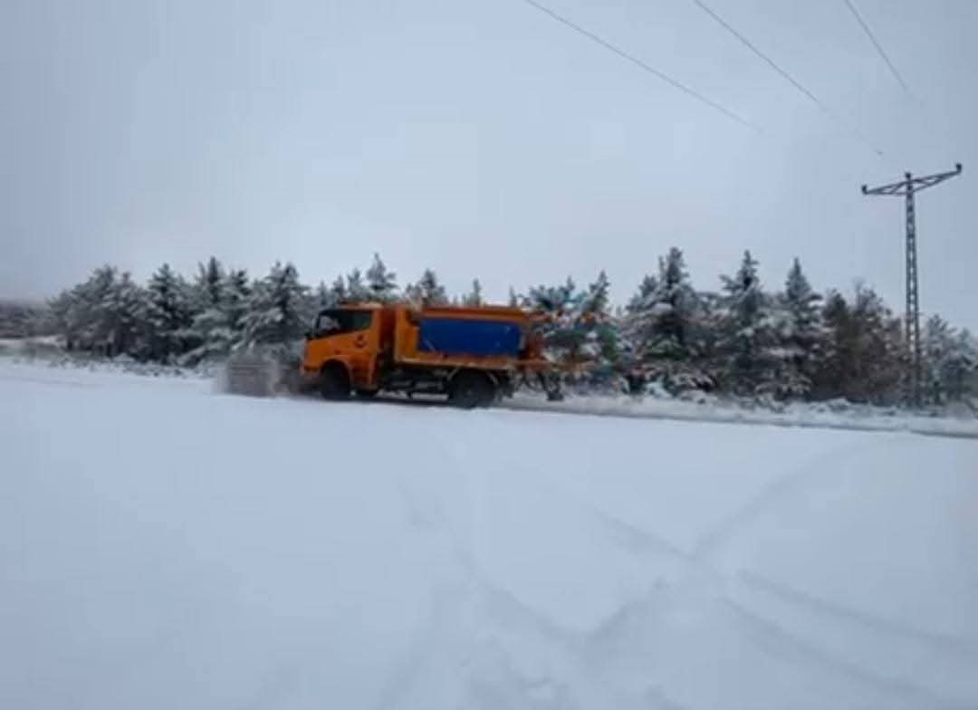 47A87F39 267E 4Cdb B513 631Cec23D1D9