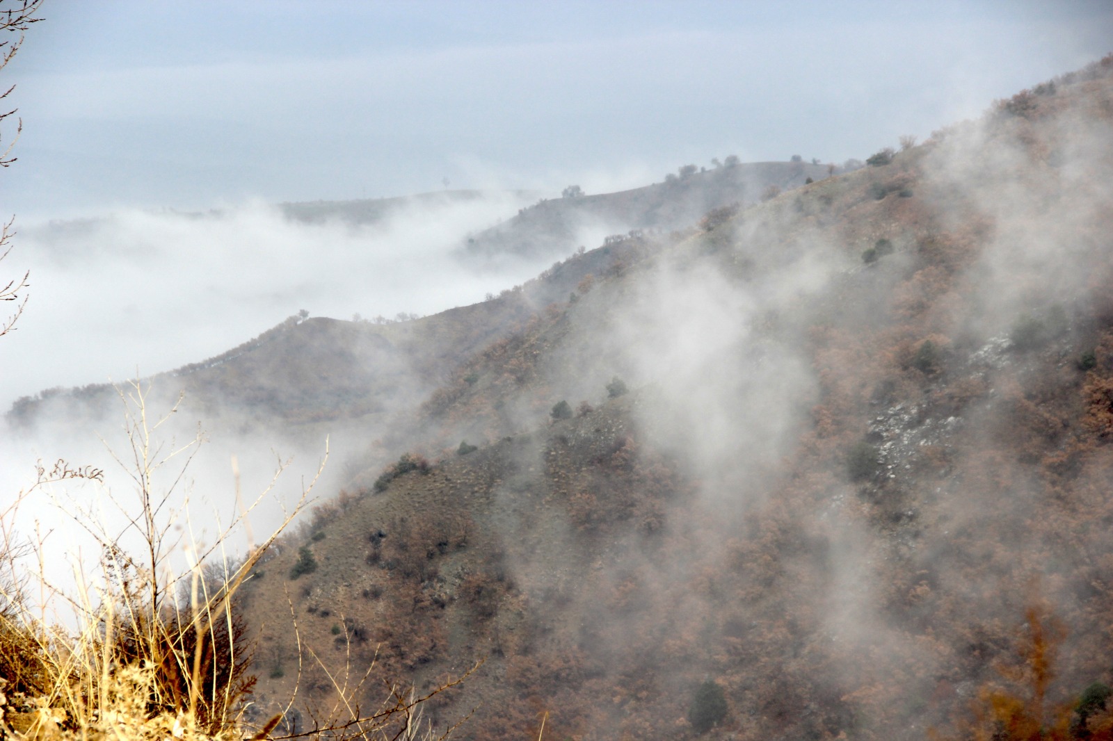 530F6E13 Cd0A 481D B3Bd 4Ea0E3245Bbe