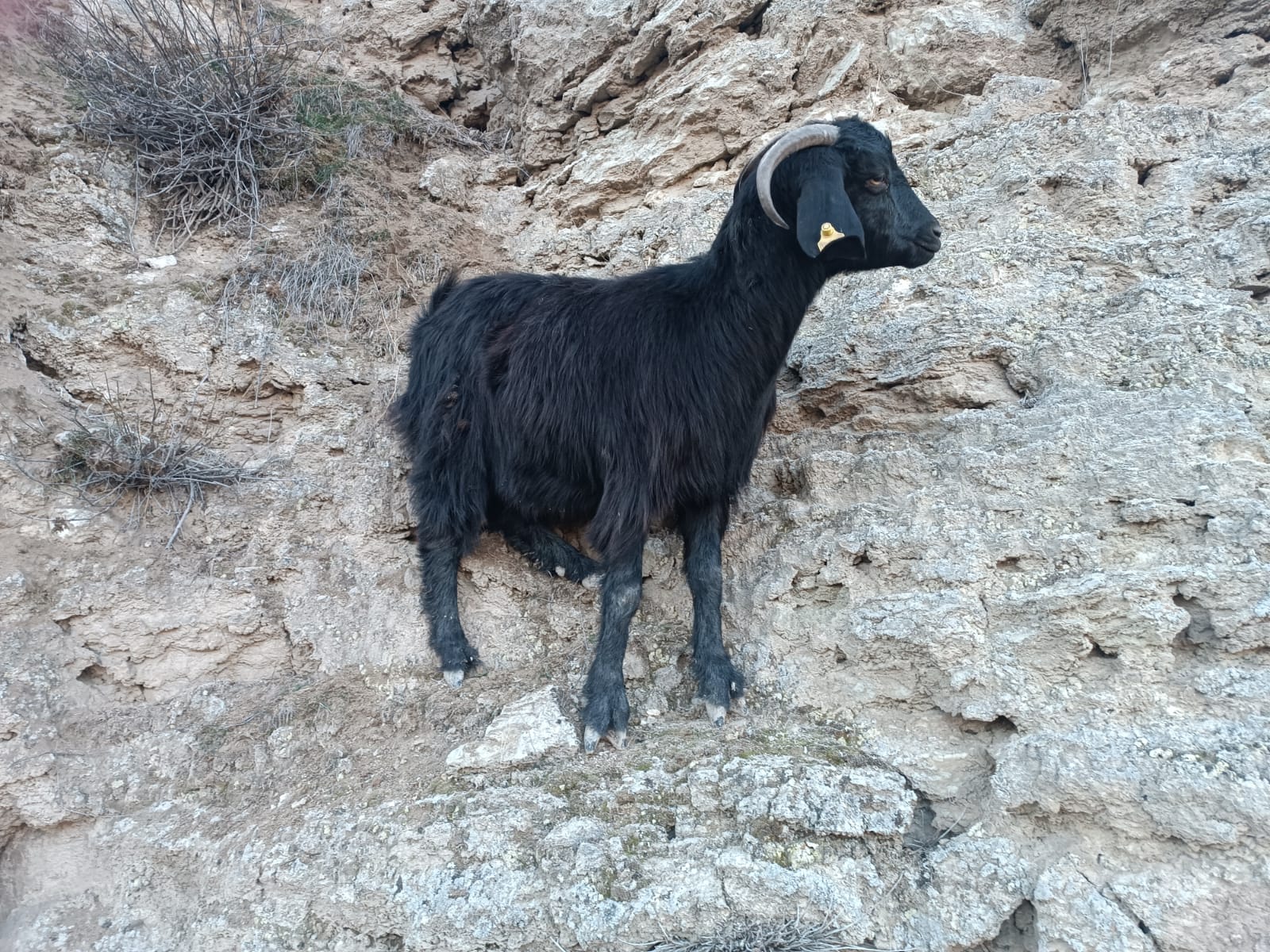 98C58B32 8354 4A88 8302 17971Ae5Ccdd