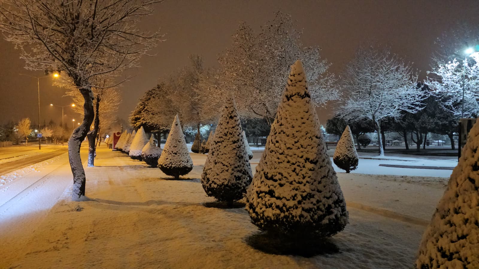 I M G 20251231 W A0034