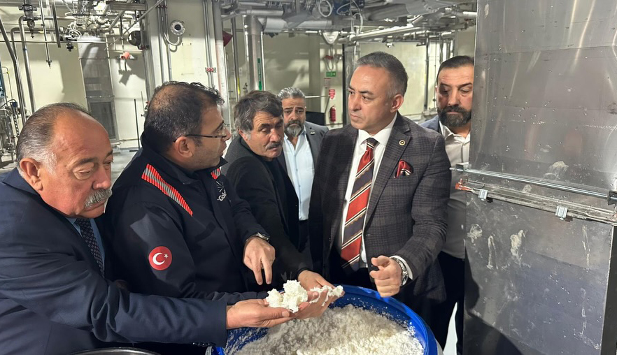 Tahtasiz Goldforce 3