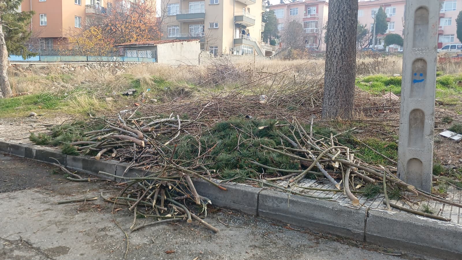 Whatsapp Image 2025 12 02 At 12.48.59