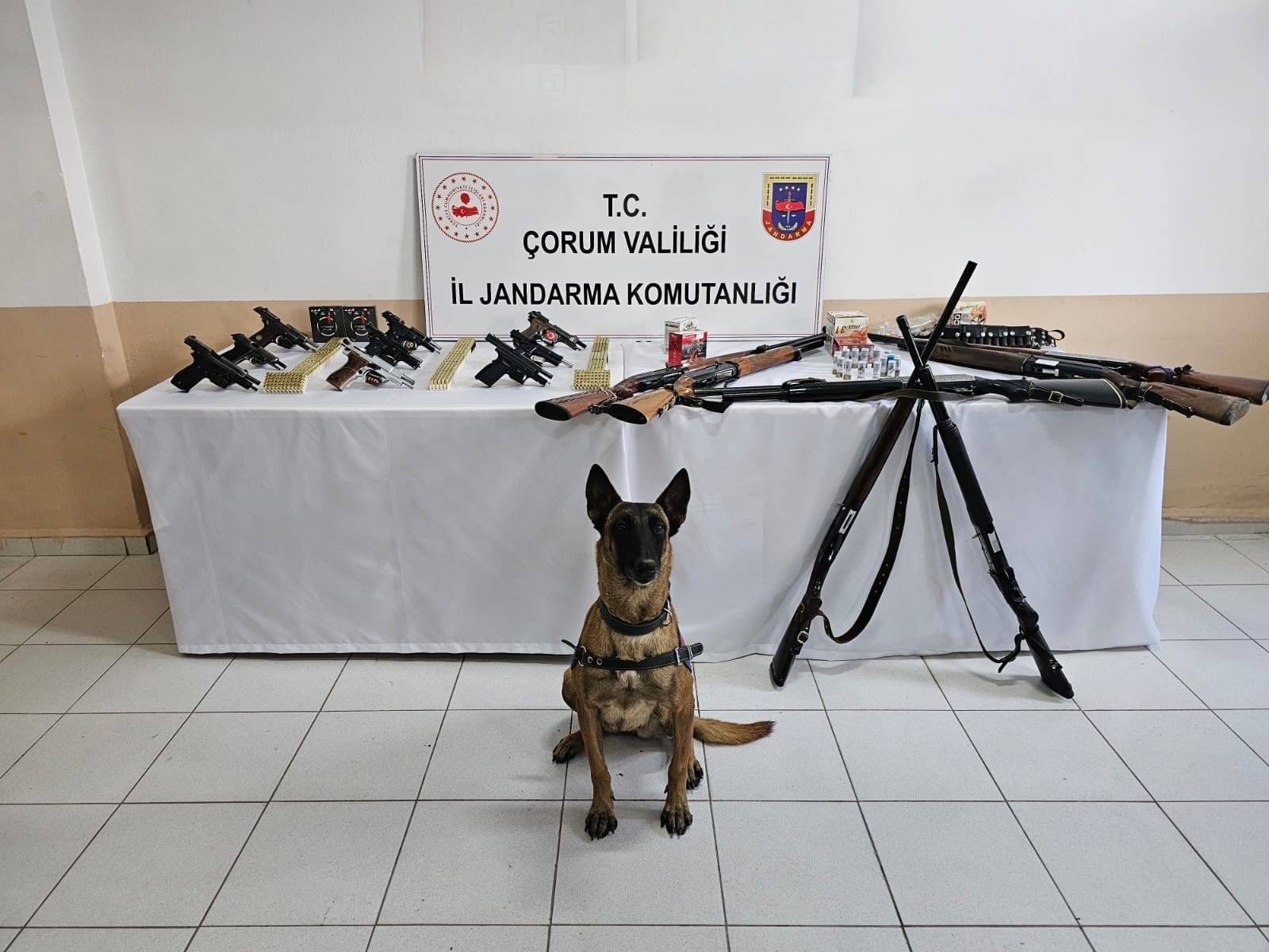 Whatsapp Image 2025 12 13 At 11.11.57 (1)