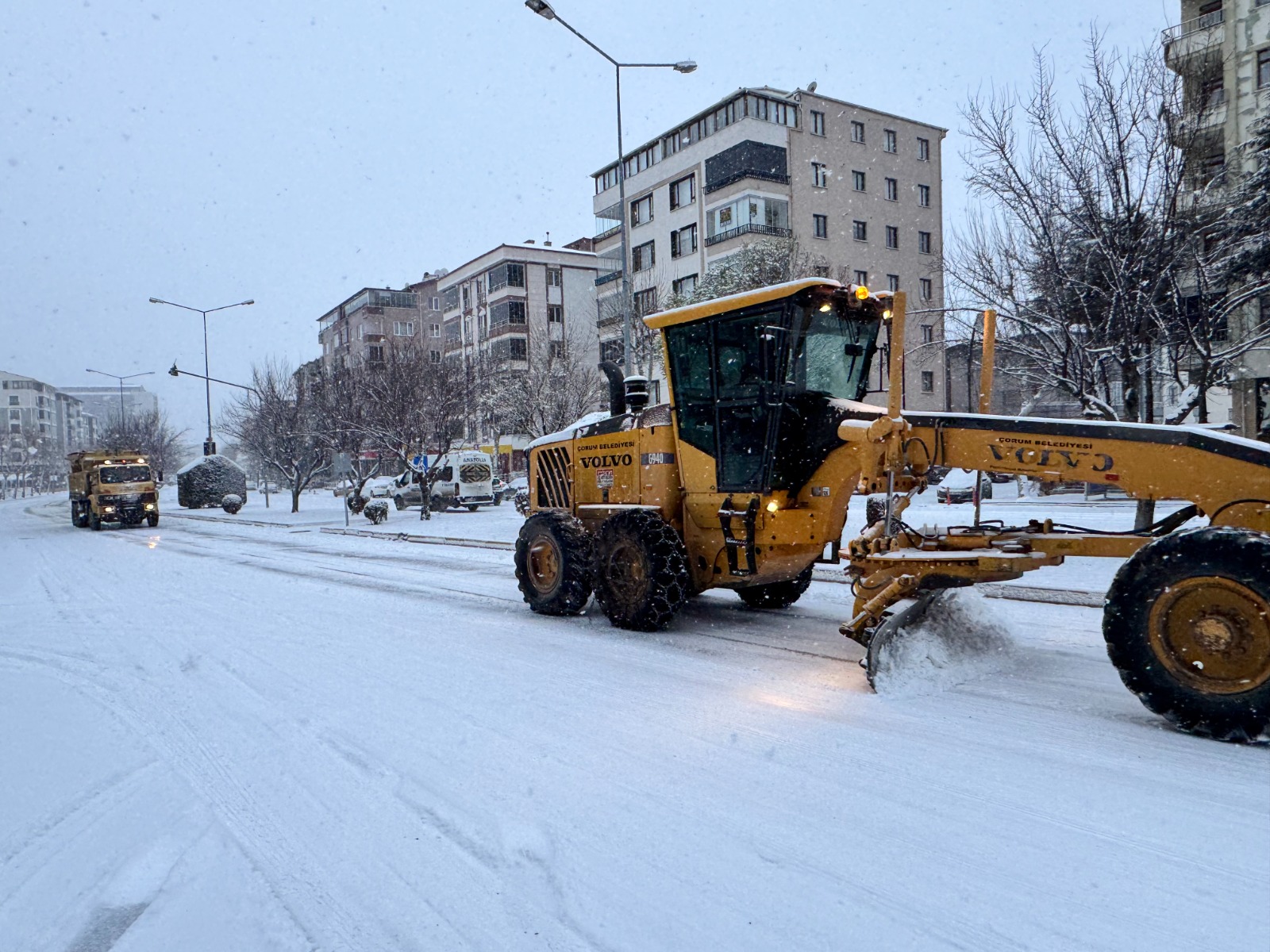 1Eb1476E 3D59 445D A007 14Ef4598A3Ad