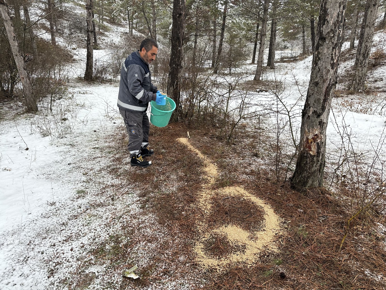 48B8126E 7Bff 404D 89F7 5407171057F5