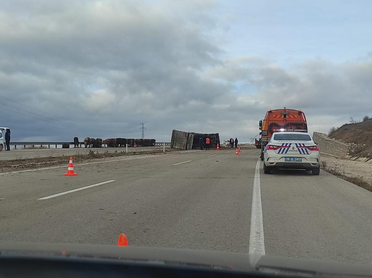 6F8Bdcde 6396 449D 928C C1E6D83B18Fe