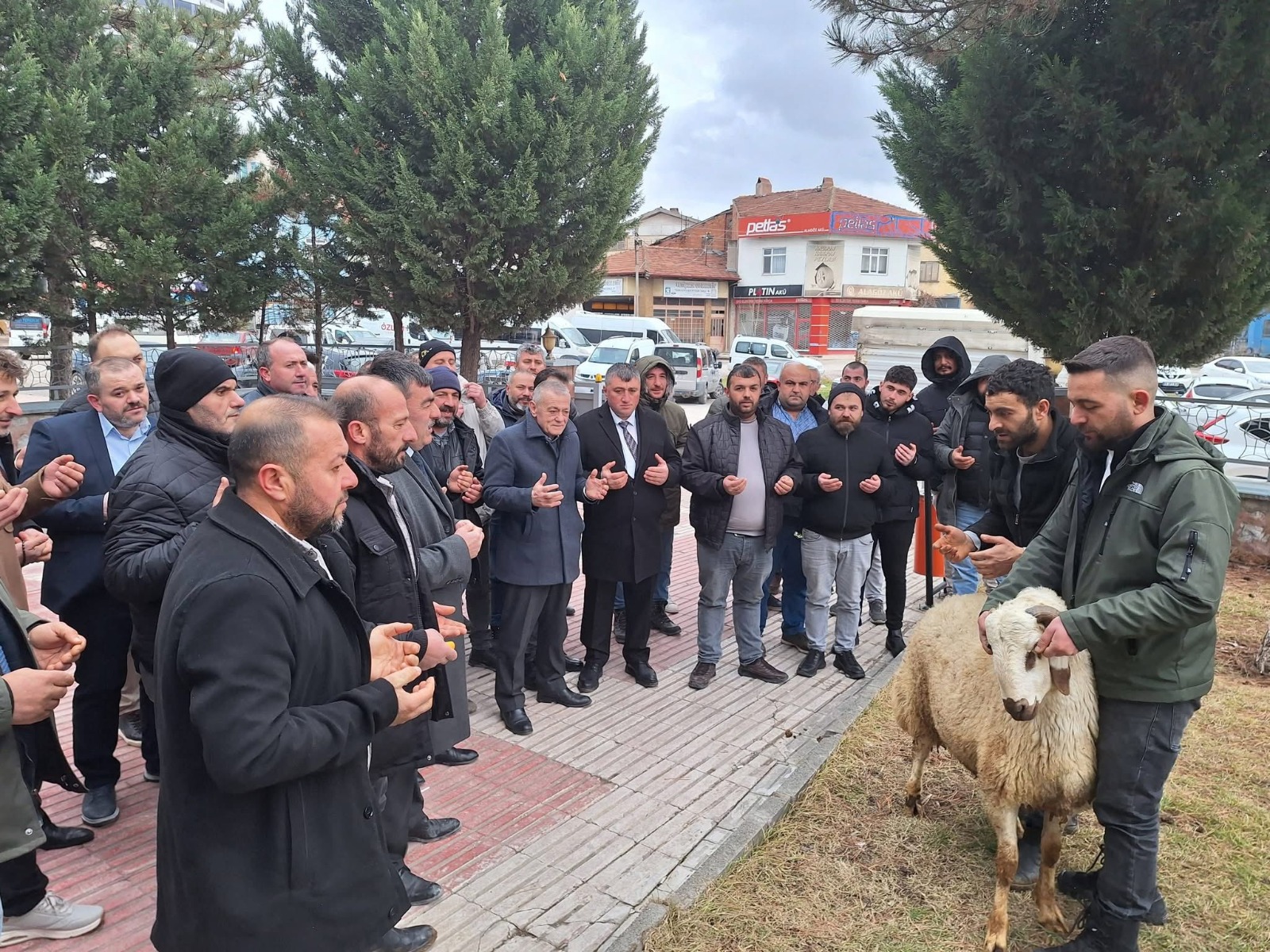 7B008C72 Ad78 4045 Bffd D42Fce06E77D