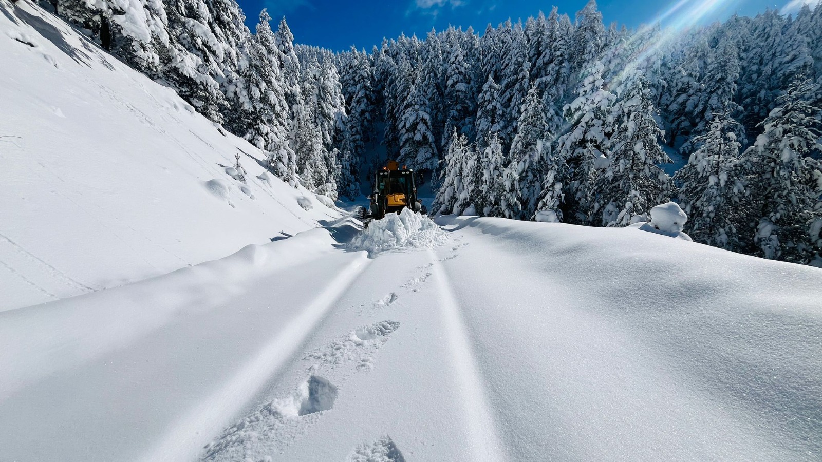 7C4Bf4B8 Ee6E 4Af0 84Da 7474A2517B90