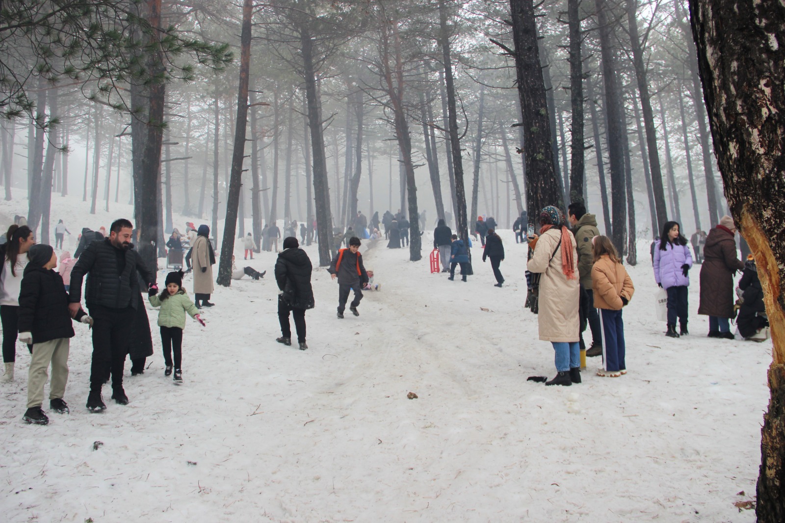 D87Ae340 B124 4694 8B10 300Fa45012Ea