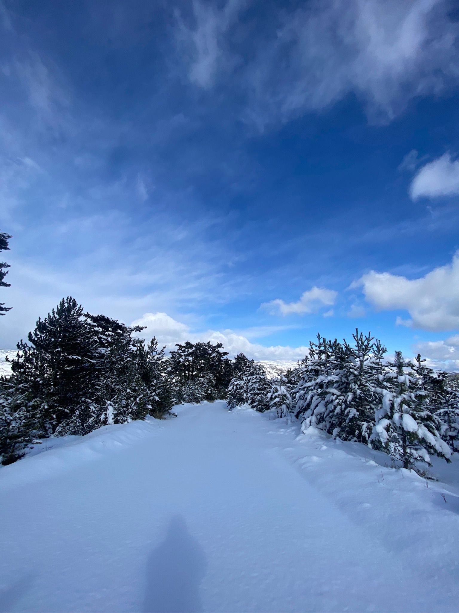 Whatsapp Image 2026 01 19 At 09.40.13 (2)