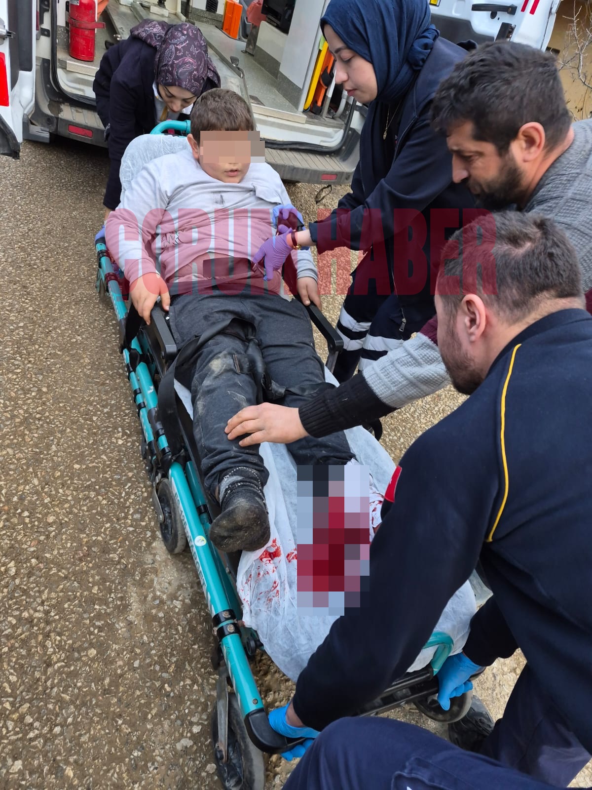 Whatsapp Image 2026 01 31 At 10.53.14 (1)