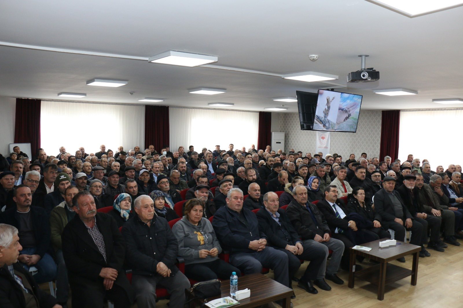 133941D4 B7B5 4Dd4 8Bac 498305B2D3Cc