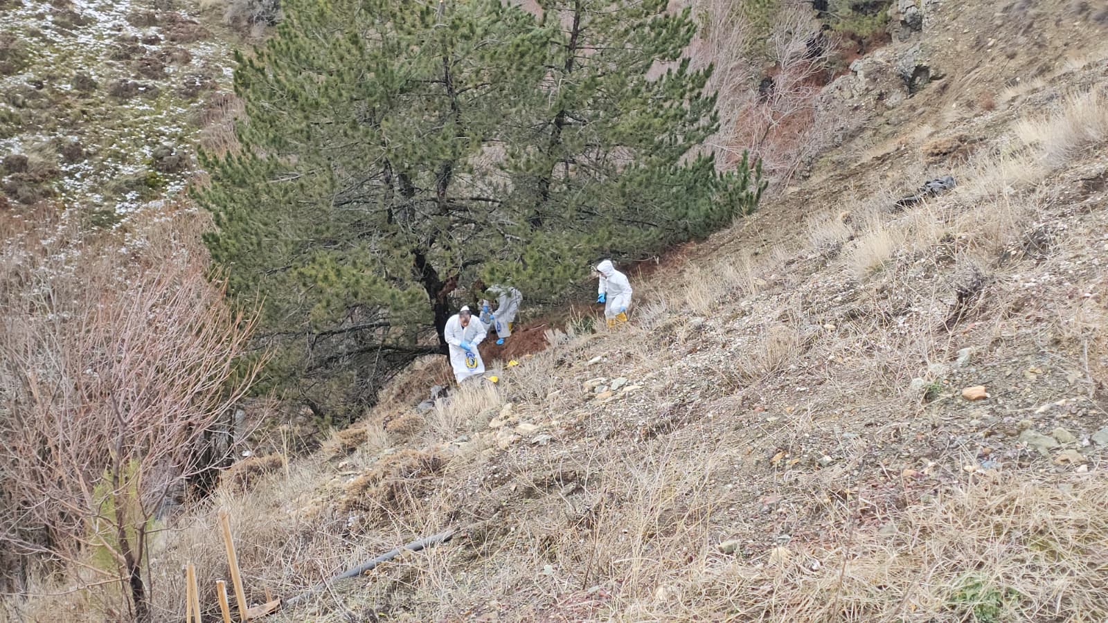 27420B3F 4572 47B7 A127 3A8C1E94D7E5 (1)